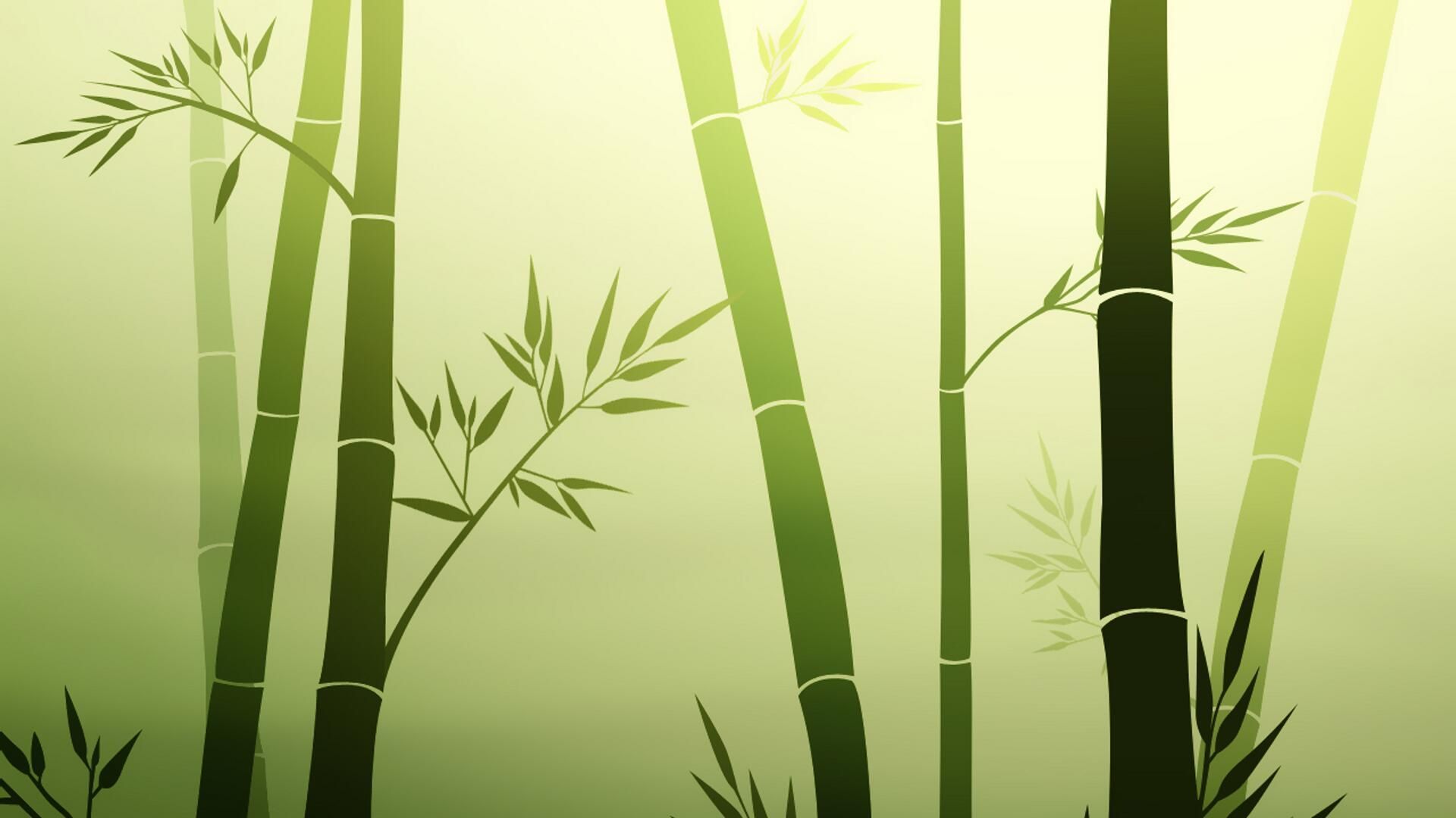 bamboo_zen bamboo_zen